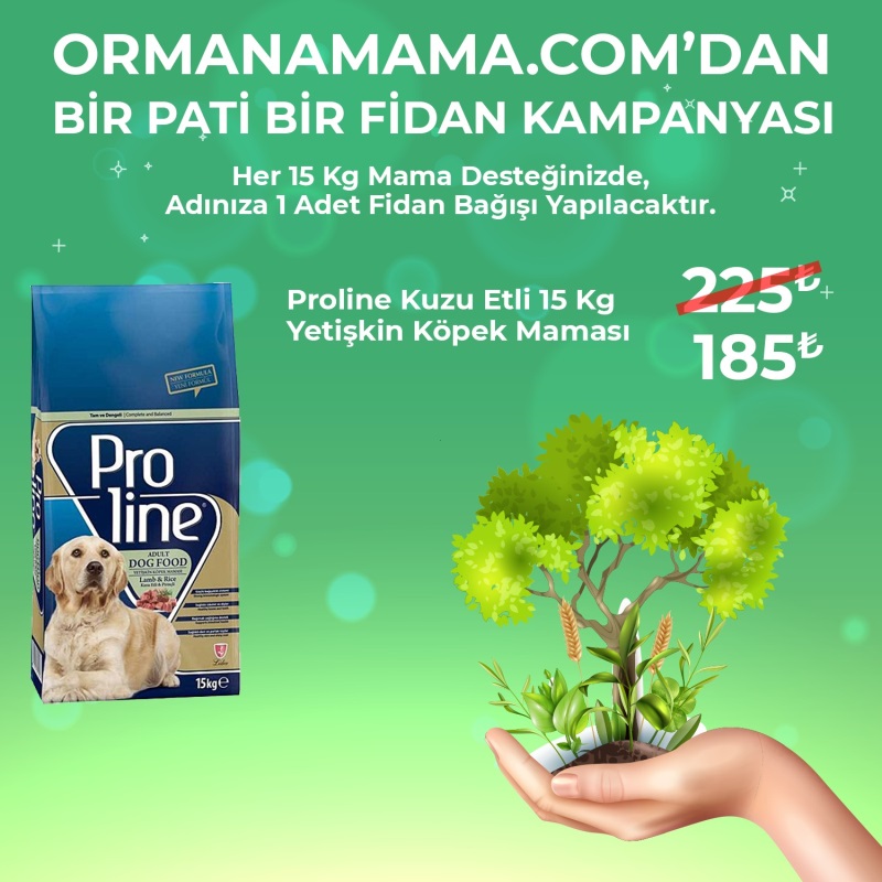 Proline Pouch 100Gr Mama Çeşitleri x 20 Adet (Fidan Hediyeli)