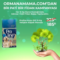 Proline Pouch 100Gr Mama Çeşitleri x 20 Adet (Fidan Hediyeli)