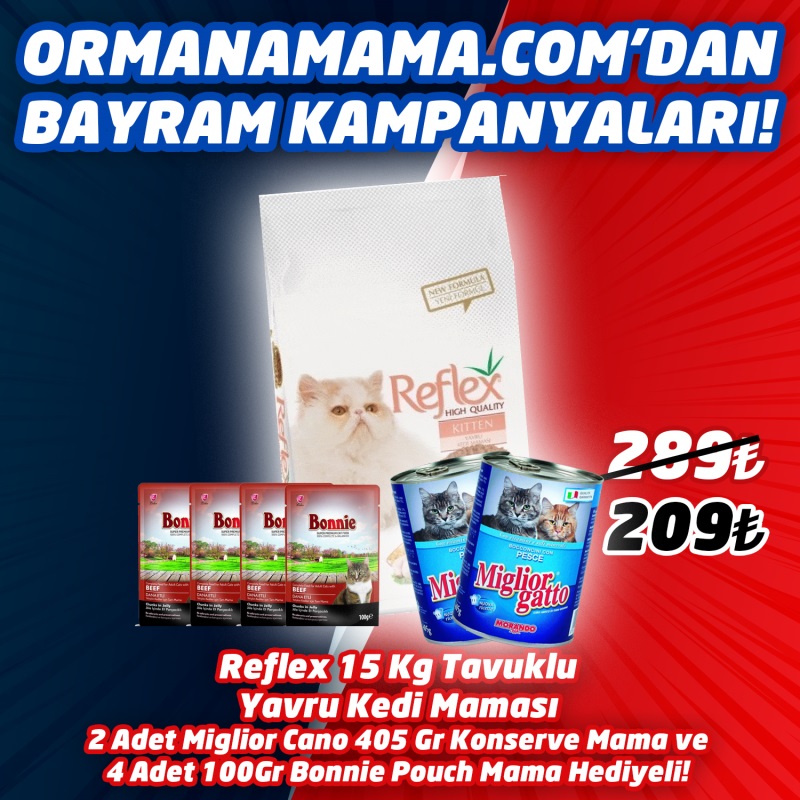 Reflex Kitten Yavru Kedi Maması 15 Kg