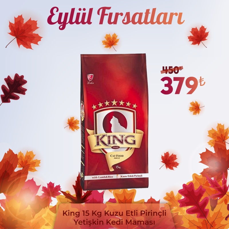 KİNG ETLİ YETİŞKİN KEDİ MAMASI 15 KG