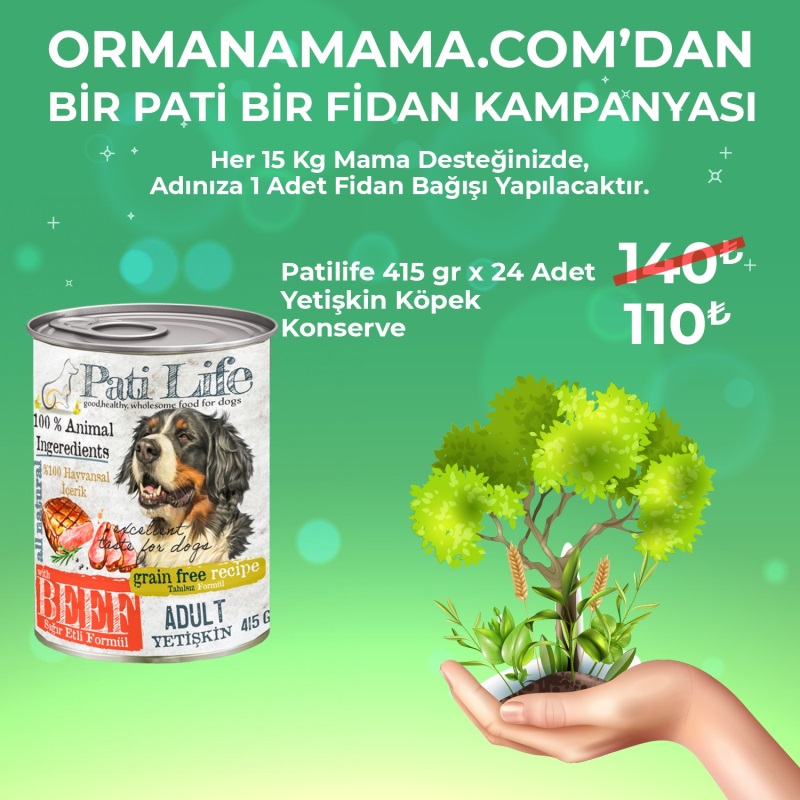Pati Life Köpek Konservesi 405 Gr 24 Adet (Fidan Hediyeli)