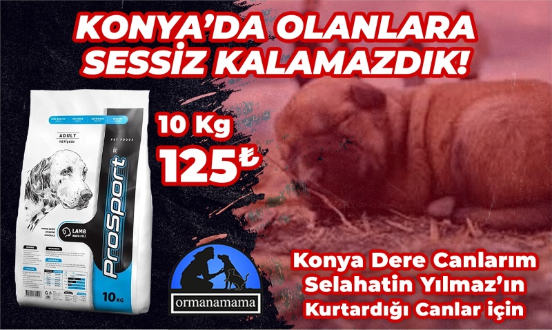 Konya Dere Canlarım Selahatin Yılmaz Özel Konya Destek Ürünü