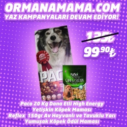 Paco 20Kg Dana Etli Yetişkin Hıgh Energy Köpek Maması  Reflex 150 Gr Av Hayvanlı ve Tavuklu Ödül Maması Hediyeli