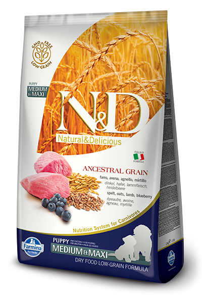 N-D Düşük Tahıllı Kuzu Etli Yaban Mersinli Orta Irk Yavru Köpek Maması 2.5 Kg