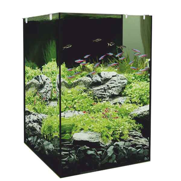EuroStar Nano 45 Arka Filtreli Akvaryum