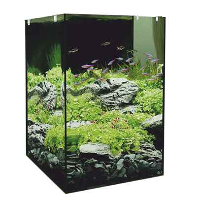 EuroStar Nano 45 Arka Filtreli Akvaryum