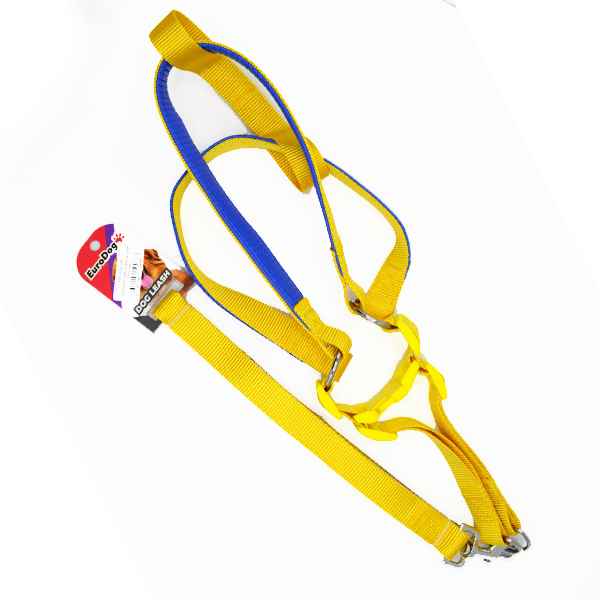 EuroDog Köp.Uztm+Göğüs Tas.25mm 120cm Sarı