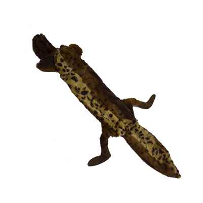 EuroDog Peluş Sesli Ayı Köpek Oyuncağı