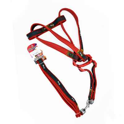 EuroDog Köpek Uz.+Göğüs Tasması Kırmızı 25mm 120cm