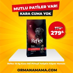 Reflex Plus 15 Kg Kuzu Etli Pirinçli Orta Büyük Irk Yetişkin Köpek Maması