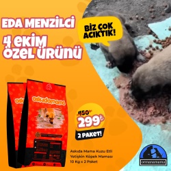 Eda Menzilci 4 Ekim Özel