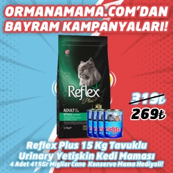 Reflex Plus Tavuklu Urinary Yetişkin Kedi Maması 15 Kg  4 Adet 415 Gr Miglior Gatto Konserve Hediye
