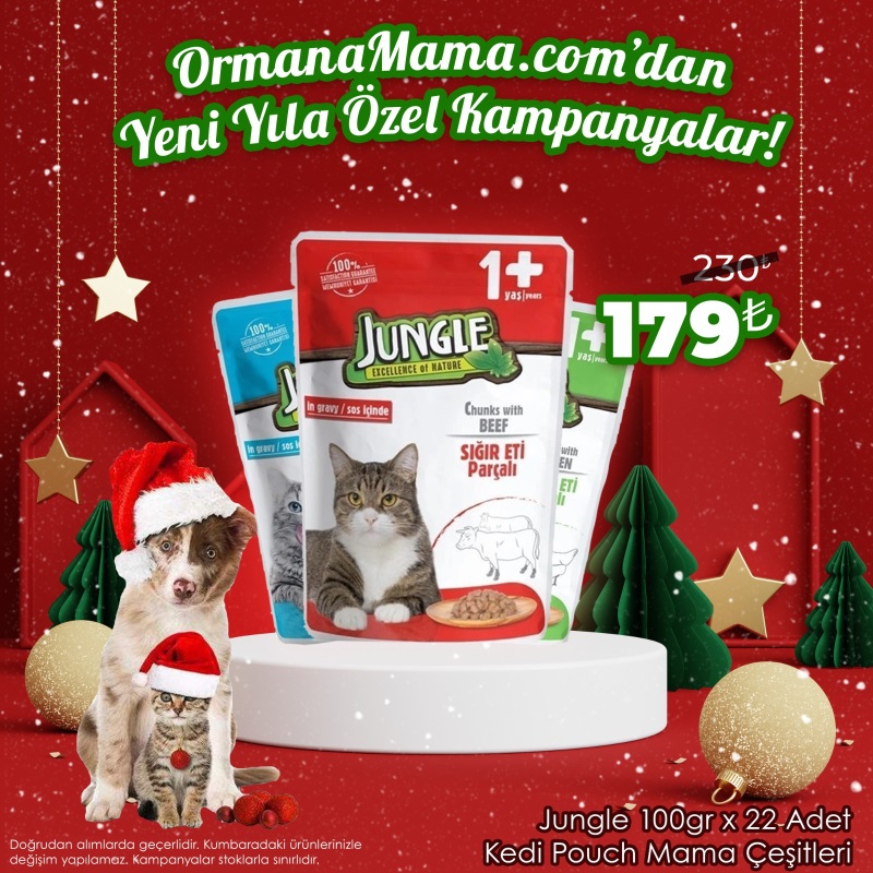 Jungle 100gr x 22 Adet Kedi Pouch Mama Çeşitleri
