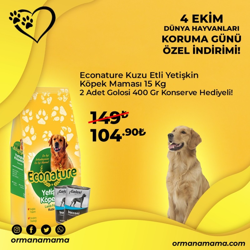 Eco Nature Kuzu Etli 15 Kg Yetişkin Köpek Maması 2 Adet Golosi Konserve Hediyeli