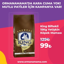 King 15 Kg Biftekli Yetişkin Köpek Maması