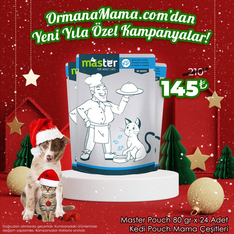 Master Pouch 80gr x 24 Adet Kedi Pouch Mama Çeşitleri