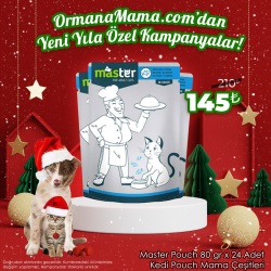Master Pouch 80gr x 24 Adet Kedi Pouch Mama Çeşitleri