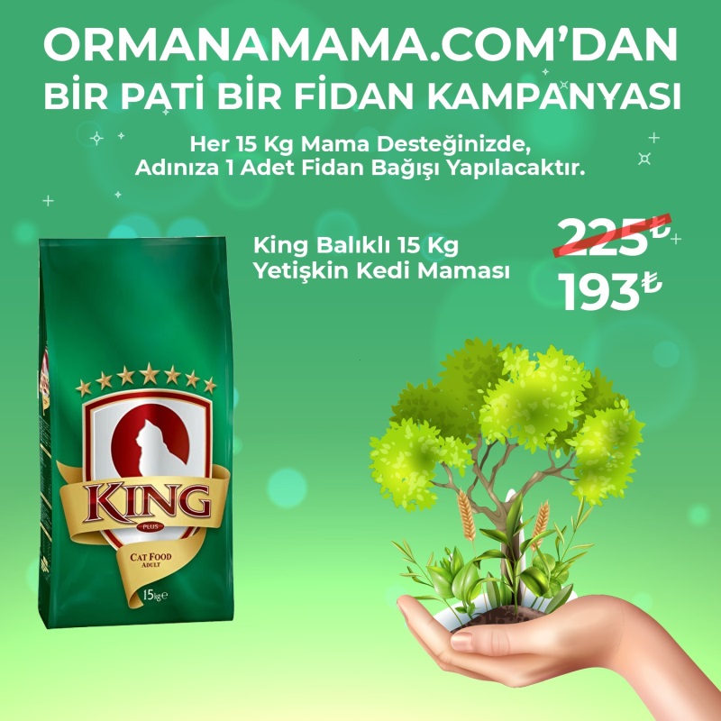 King Balıklı Kedi Maması 15 Kg (Fidan Hediyeli)