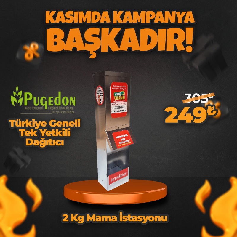 2 Kg Kedi Mama İstasyonu