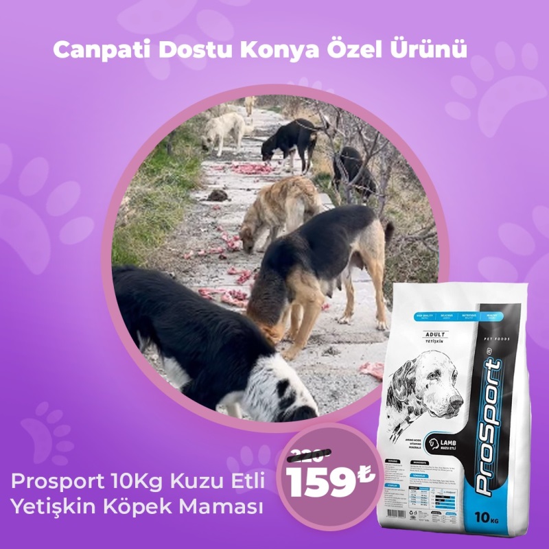 Canpati Dostu Konya Özel Ürünü