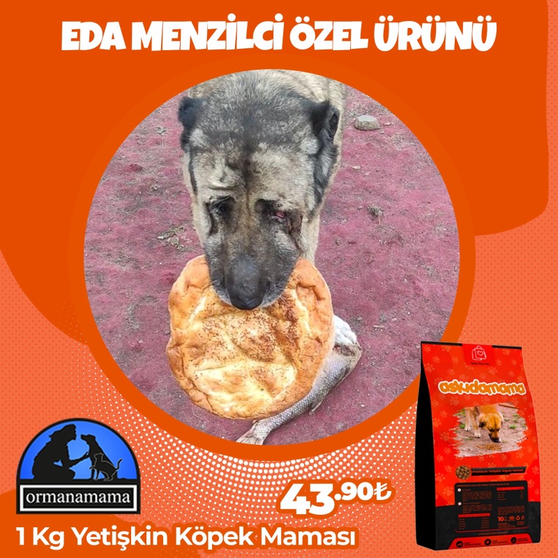 Eda Menzilci Özel 1 Kg Yetişkin Köpek Mamsı