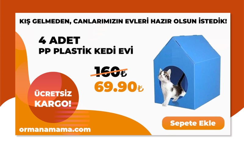 PP Plastik Kedi Evi 4 adet