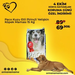 Paco 15 Kg Kuzu Etli Pirinçli Yetişkin Köpek Maması