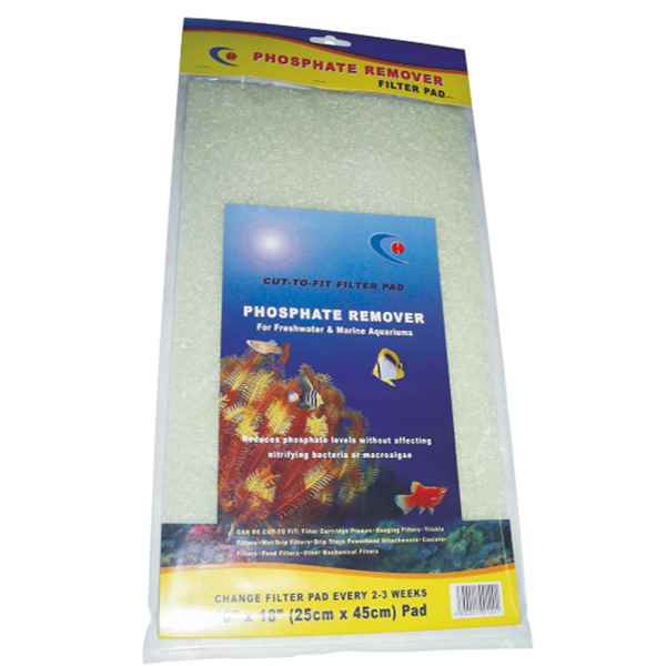 Phospate Tutucu Sünger 25x45 cm