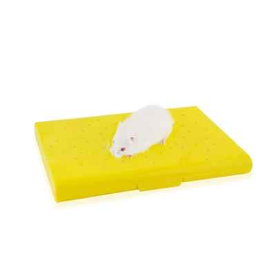 Carno Hamster Yatağı Soğutucu Buz Torbalı 14x10x1cm