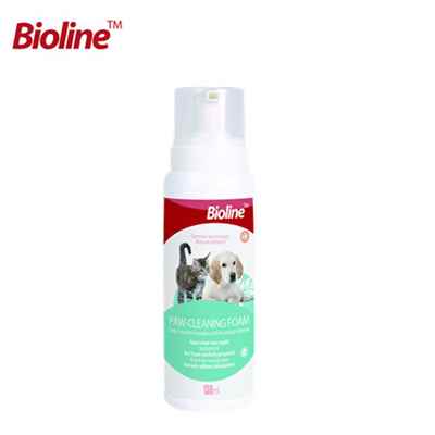 Bioline Pati Temizleme Köpüğü 150 Ml