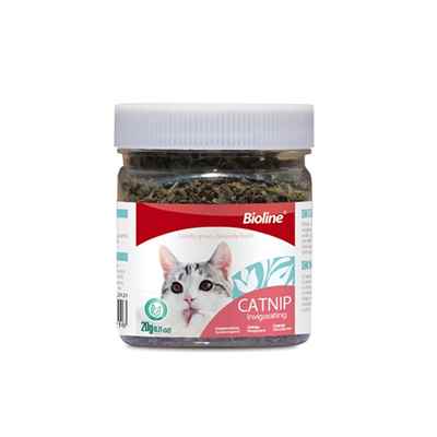 Bioline Catnip Kedi Otu 20 Gr