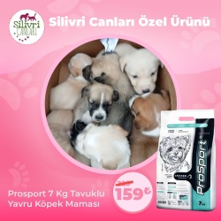 Silivri Canları Özel Ürünü