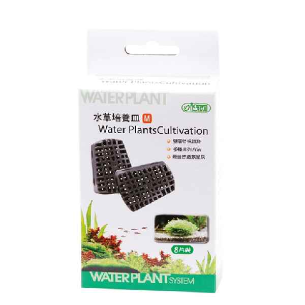 Ista Moss Tabanı Orta Boy 8 Ad