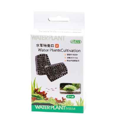 Ista Moss Tabanı Orta Boy 8 Ad