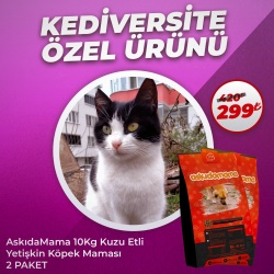 Kediversite Özel Ürünü