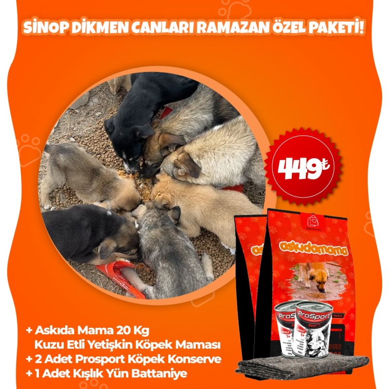 Sinop Dikmen Canları Ramazan Özel Paketi