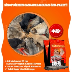 Sinop Dikmen Canları Ramazan Özel Paketi
