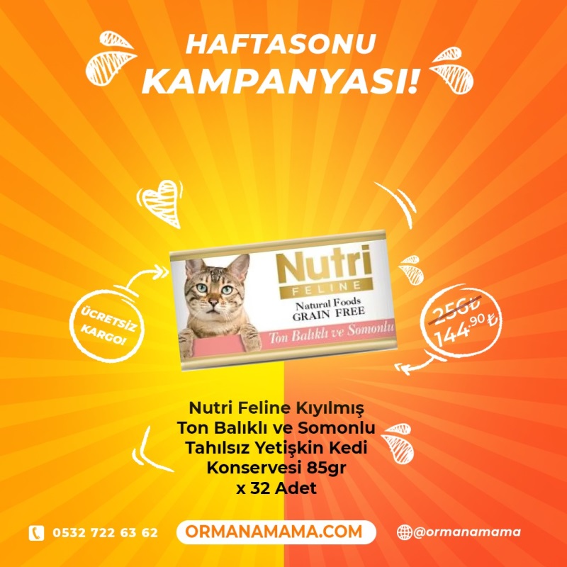 Nutri Feline 85 Gr Konserve Mama Çeşitleri x 32 Adet