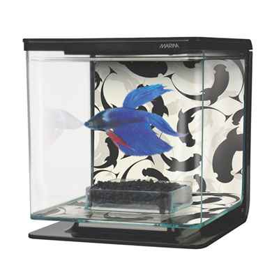 Marina Beta Başlangıç Seti Yingyang