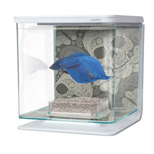 Marina Beta Başlangıç Seti Kuru Kafa