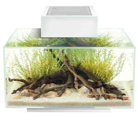 Fluval Edge2 Beyaz 23 L Akvaryum