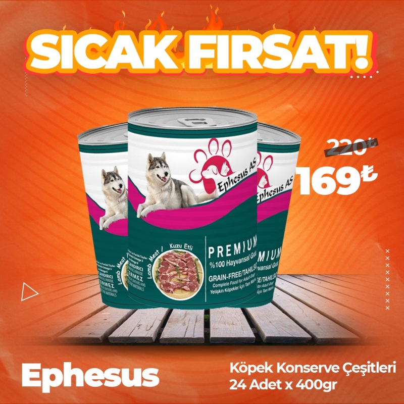 Ephesus As 415 gr x 24 Adet Köpek Maması Çeşitleri