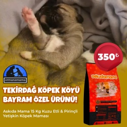 Tekirdağ Köpek Köyü Bayram Özel Ürünü