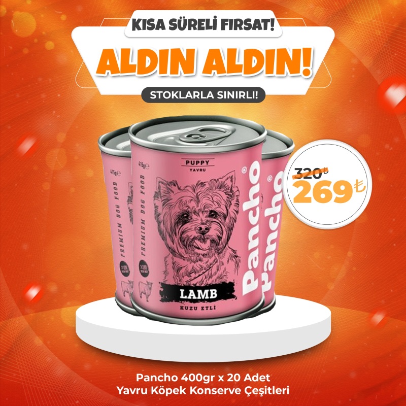 PANCHO Kuzu Etli Yavru Köpek Konserve Mama 415gr x 20 Adet