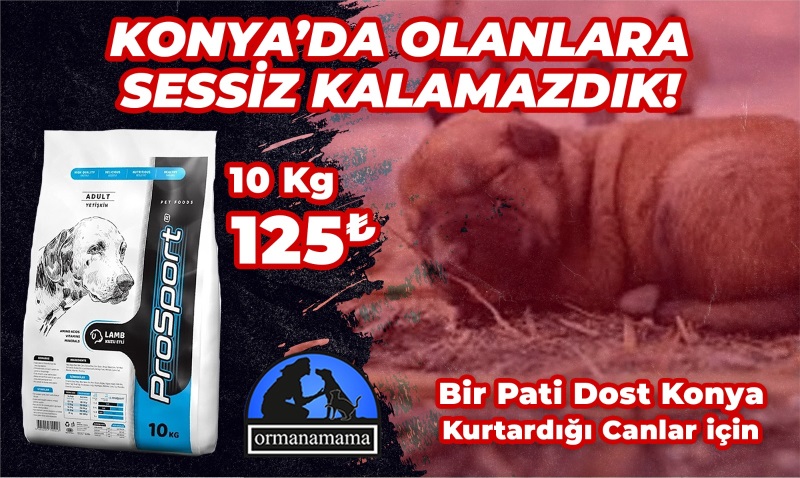 Bir Pati Dost Konya Özel Destek Ürünü