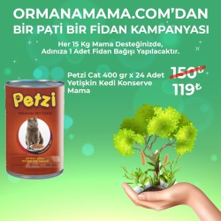Petzi Cat Premium 400Gr x 24 Adet Konserve (Fidan Hediyeli)
