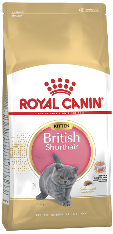 Royal Canin British Shorthair Için Özel Yavru Kedi Mamasi 2 Kg