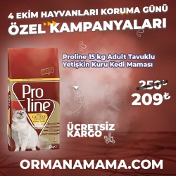 Proline 15 Kg Tavuklu Yetişkin Kedi Maması