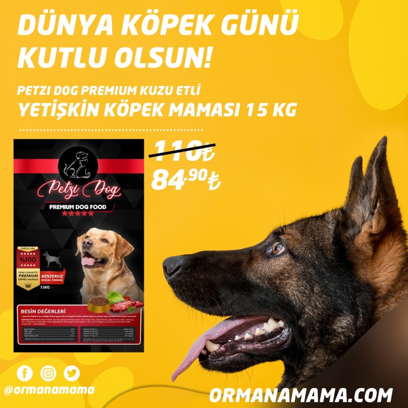 Petzi Dog Premium Kuzu Etli 15 Kg Yetişkin Köpek Maması