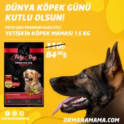 Petzi Dog Premium Kuzu Etli 15 Kg Yetişkin Köpek Maması